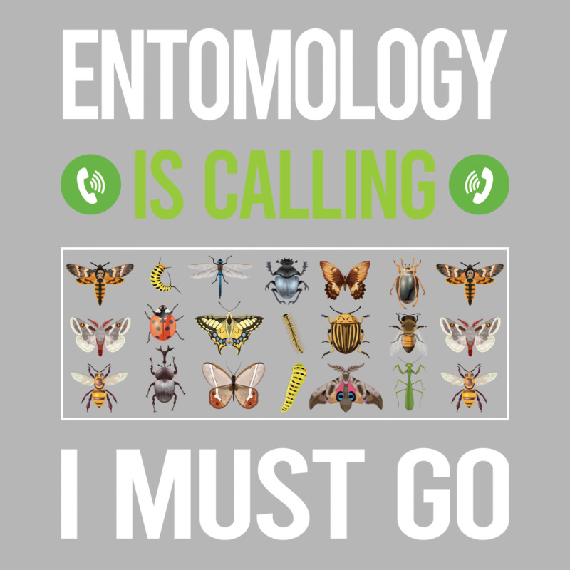 It Is Calling I Must Go Entomology Entomologist In Hoodie & Jogger Set | Artistshot