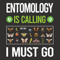 It Is Calling I Must Go Entomology Entomologist In Champion Hoodie | Artistshot