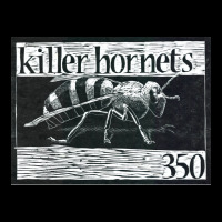 Killer Hornets Aesthetic V-neck Tee | Artistshot