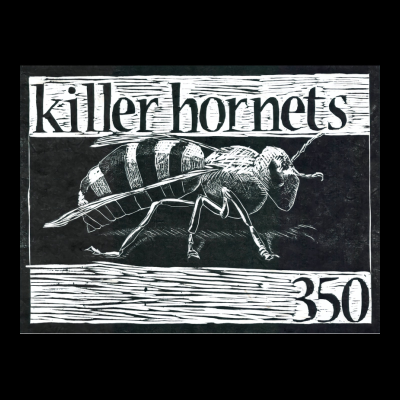 Killer Hornets Aesthetic Lightweight Hoodie | Artistshot