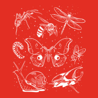 Future Entomologists Beetles Ant Bugs Lover Bees M Graphic T-shirt | Artistshot