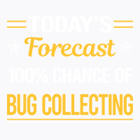 Today Forecast Bug Collecting Insect Insects Bugs T-shirt | Artistshot