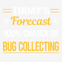 Today Forecast Bug Collecting Insect Insects Bugs Graphic T-shirt | Artistshot