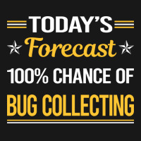 Today Forecast Bug Collecting Insect Insects Bugs Flannel Shirt | Artistshot