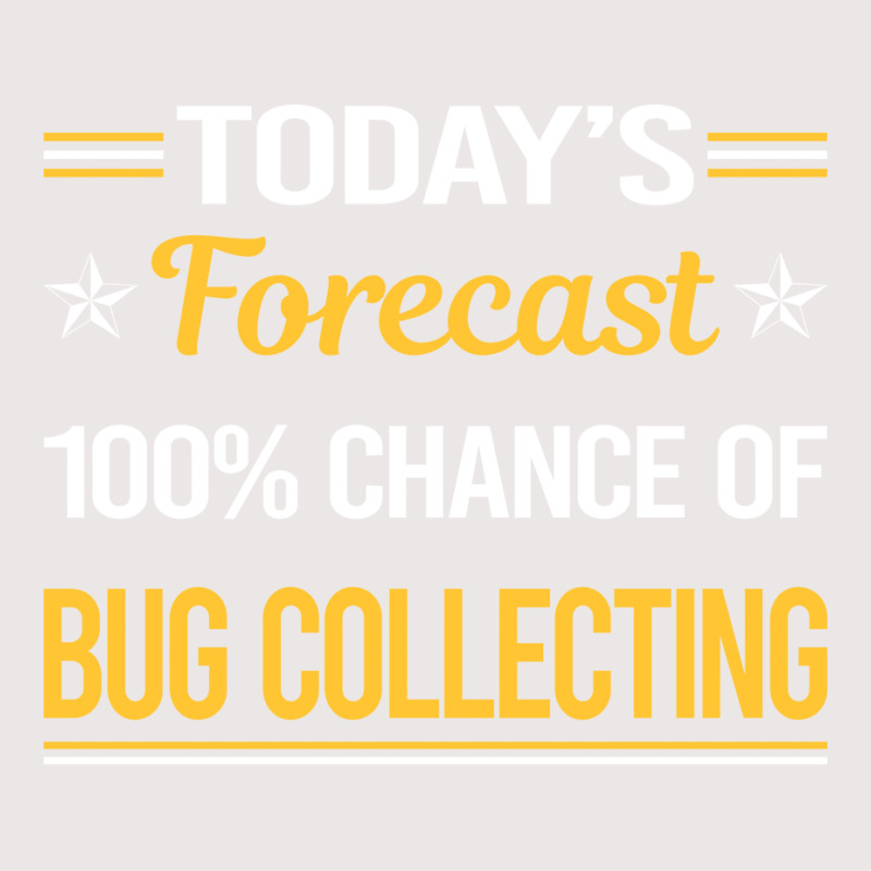 Today Forecast Bug Collecting Insect Insects Bugs Pocket T-shirt | Artistshot