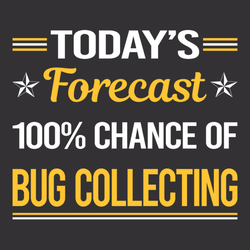 Today Forecast Bug Collecting Insect Insects Bugs Vintage Hoodie | Artistshot