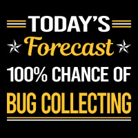 Today Forecast Bug Collecting Insect Insects Bugs Lightweight Hoodie | Artistshot