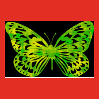 Butterfly Color Green Cool Graphic T-shirt | Artistshot