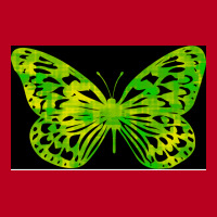 Butterfly Color Green Cool Classic T-shirt | Artistshot