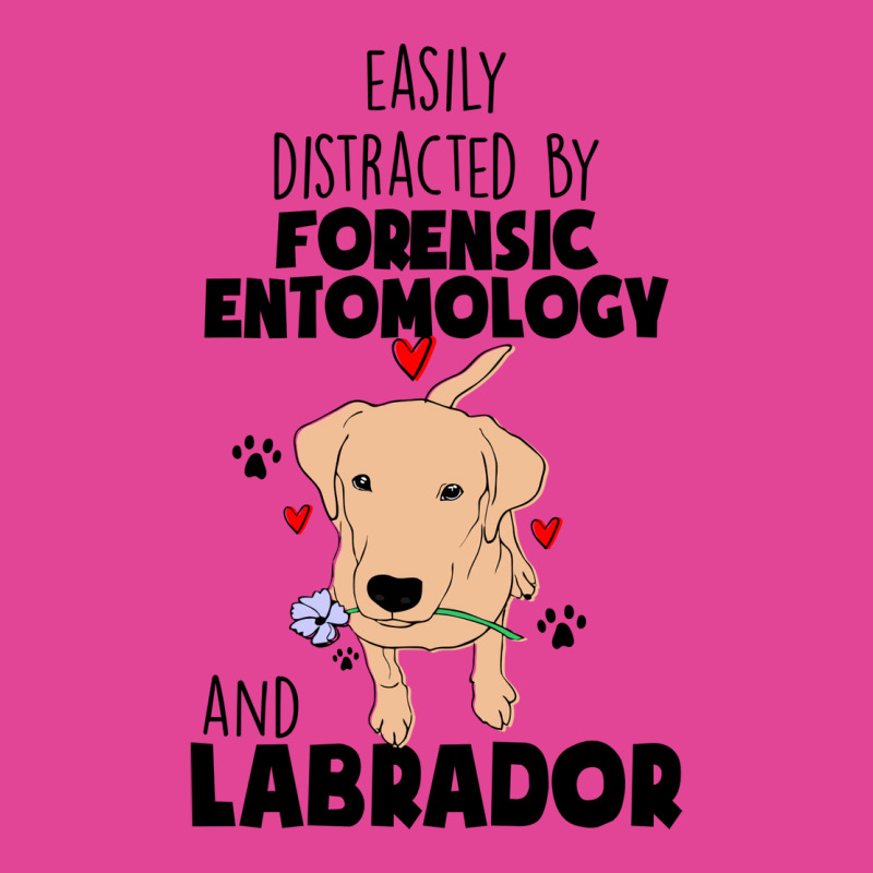 Forensic Entomology And Labrador Cute T-Shirt by knapetolamj | Artistshot