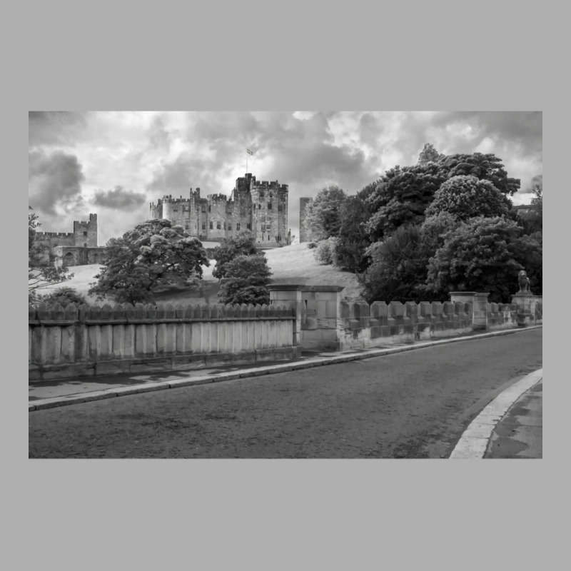 Alnwick Castle In Monochrome Ladies Fitted T-Shirt by ahakascalisi0 | Artistshot