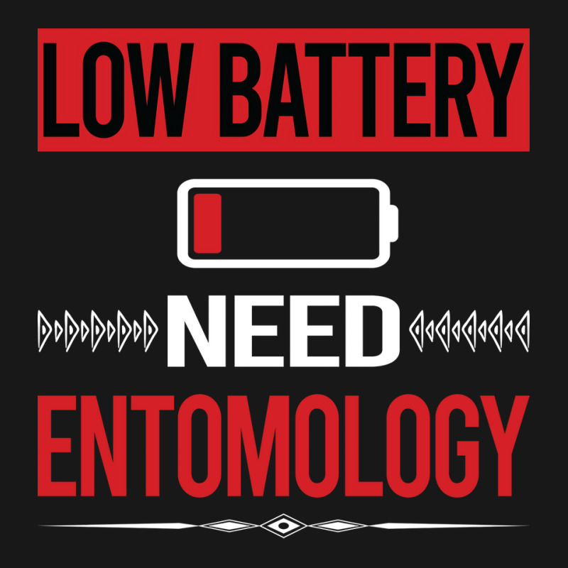 Low Battery Entomology Entomologist Insect Insects Flannel Shirt | Artistshot