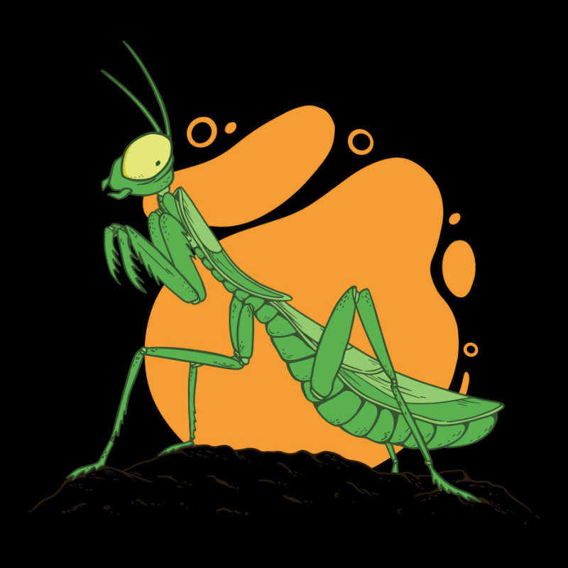 Praying Mantis Cute Pocket T-shirt | Artistshot