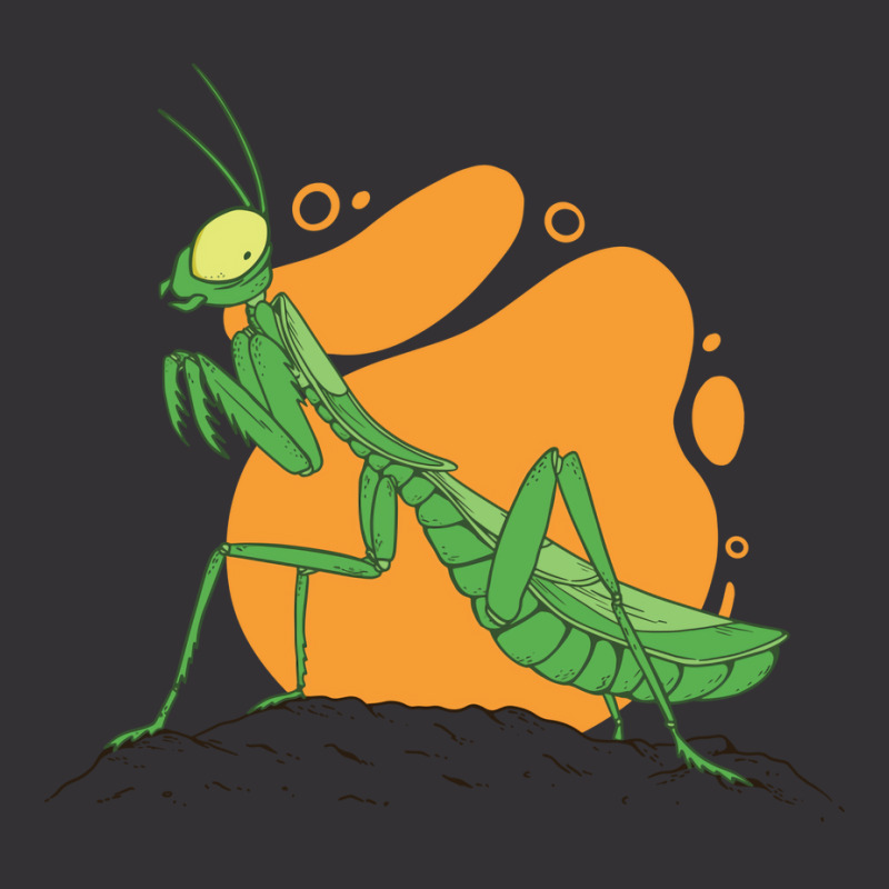 Praying Mantis Cute Vintage Hoodie | Artistshot