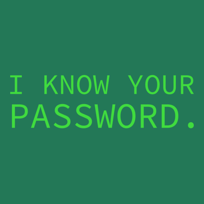 I Know Your Password Computer Hacker It Administra Ladies Fitted T-Shirt by leivazglejdig | Artistshot