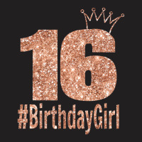 16th Birthday Gift Teen Sweet Sixteen 16 Birthday T-shirt | Artistshot