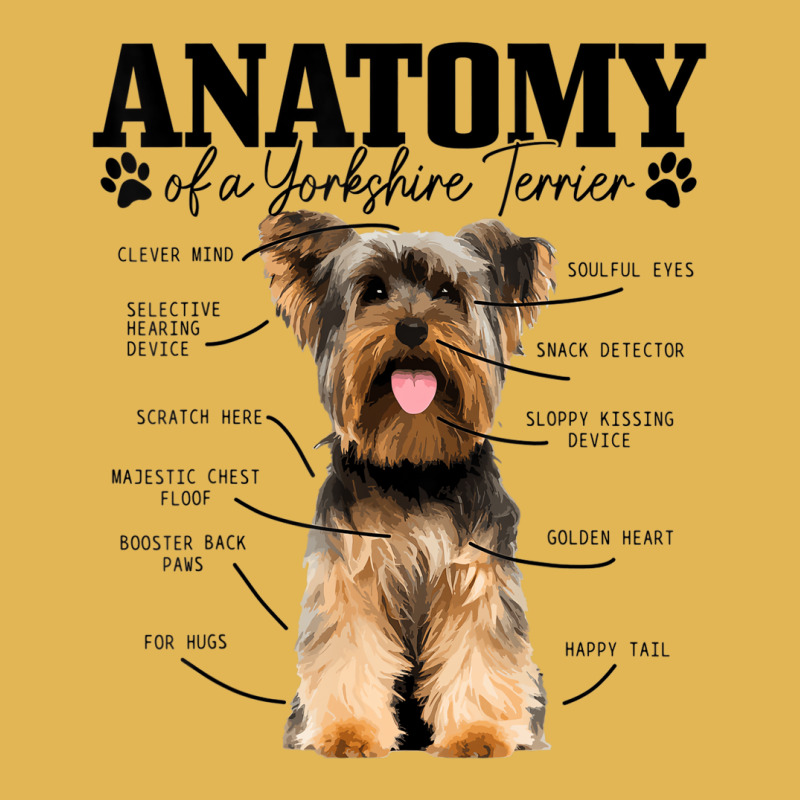 Anatomy Of A Yorkshire Terrier Funny Cute Dog York Vintage Hoodie And Short Set by marva | Artistshot