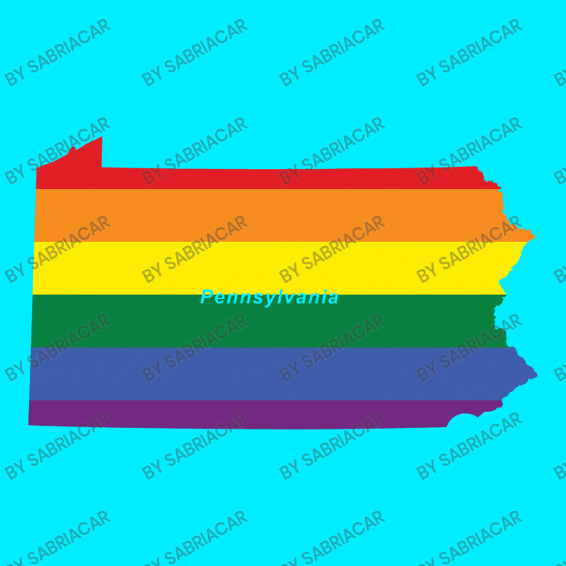 Pennsylvania Rainbow Flag Iphone 13 Pro Max Case | Artistshot