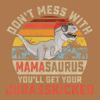 Dont Mess With Mamasaurus Youll Get Jurasskicked M Vintage Short | Artistshot