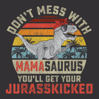 Dont Mess With Mamasaurus Youll Get Jurasskicked M Vintage Hoodie | Artistshot