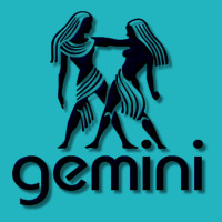 Gemini Iphone 13 Pro Case | Artistshot