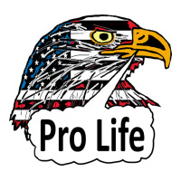 Pro Life Eagle Green Maternity Scoop Neck T-shirt | Artistshot