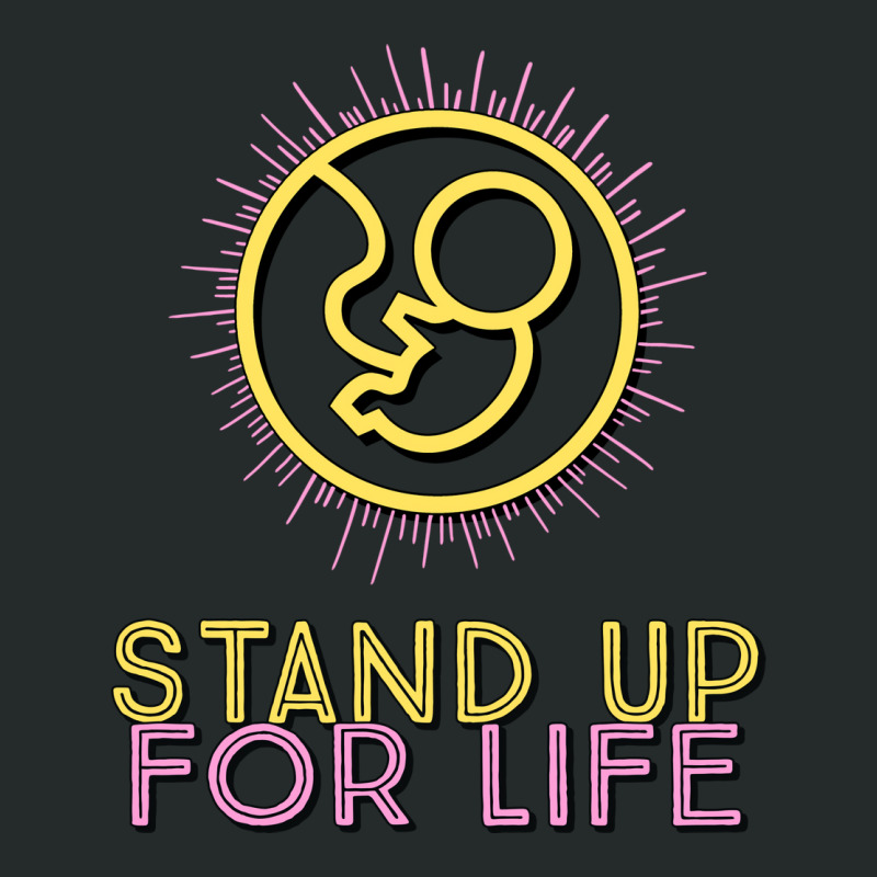 Stand Up For Life Aesthetic Women's Triblend Scoop T-shirt by stpaulaffaneh | Artistshot