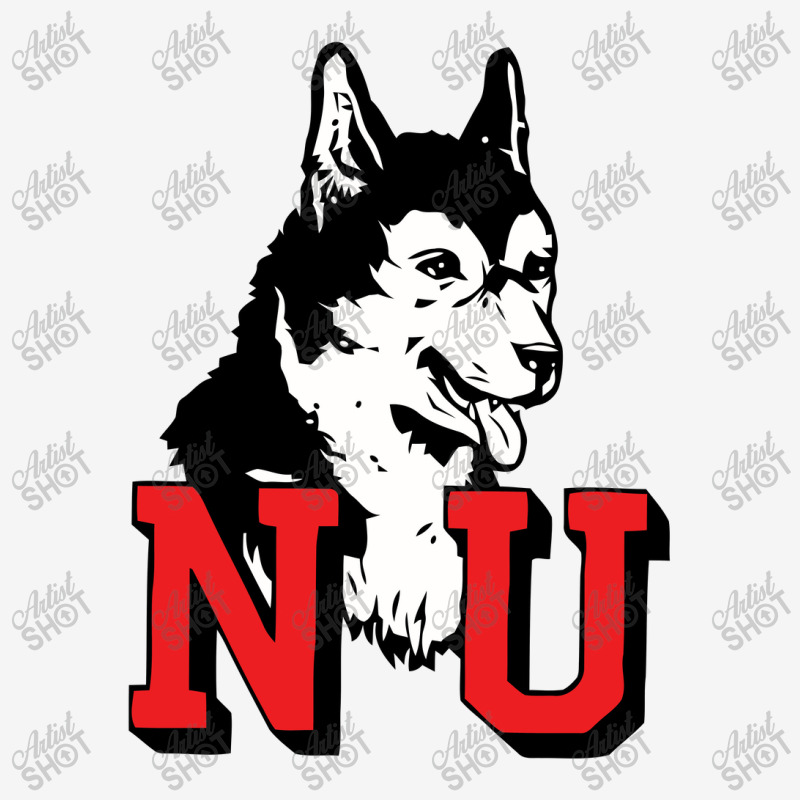 Northeastern Huskies Graphic T-shirt | Artistshot