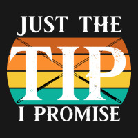 Just The Tip I Promise Funny Billiards 2 Flannel Shirt | Artistshot