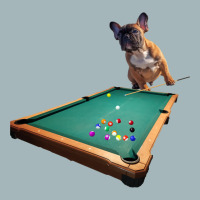 French Bulldog Billiards Unisex Sherpa-lined Denim Jacket | Artistshot