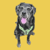 Stacey The Black Lab Hippie Graphic T-shirt | Artistshot