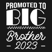 Promoted To Big Brother Sibling Pregnancy Announce Flannel Shirt | Artistshot