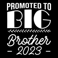 Promoted To Big Brother Sibling Pregnancy Announce Lightweight Hoodie | Artistshot