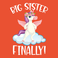 Big Sister Finally Sibling Announcement 1 Ladies Fitted T-shirt | Artistshot