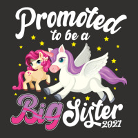 Promoted To Big Sister Pregnancy Announcement Champion Hoodie | Artistshot