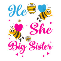 He Or She Great Big Sister To Bee Gender Reveal Pa Crop Top | Artistshot