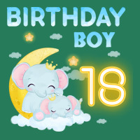 Cute Elephant 18th Birthday Boy 80s T-shirt | Artistshot