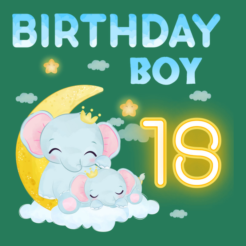 Cute Elephant 18th Birthday Boy 80s T-shirt | Artistshot