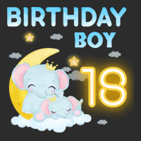 Cute Elephant 18th Birthday Boy 80s Exclusive T-shirt | Artistshot