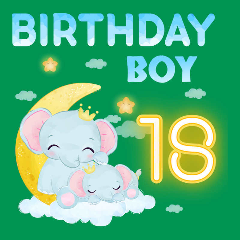 Cute Elephant 18th Birthday Boy 80s Classic T-shirt | Artistshot