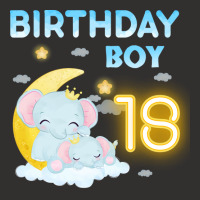 Cute Elephant 18th Birthday Boy 80s Champion Hoodie | Artistshot