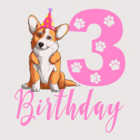 3th Birthday Corgi Blue Pocket T-shirt | Artistshot