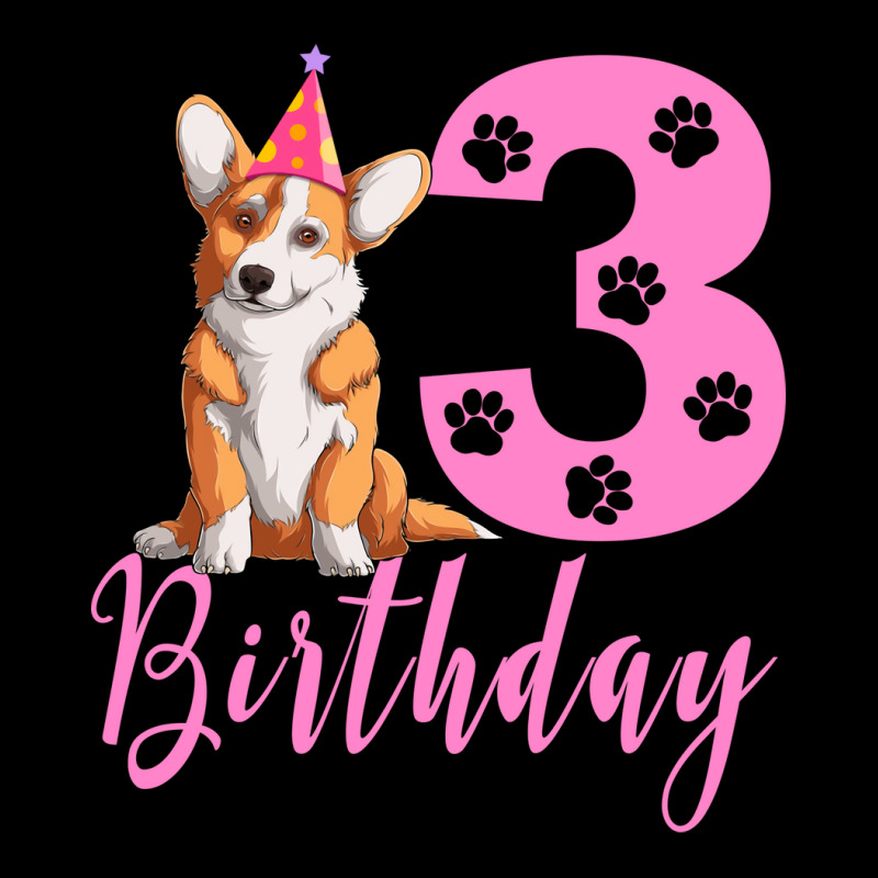 3th Birthday Corgi Blue Lightweight Hoodie | Artistshot