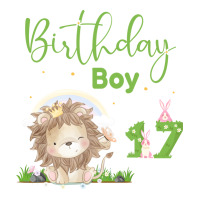 Cute Lion 17th Birthday Boy Funny V-neck Tee | Artistshot