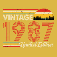 Vintage 1987 Birthday  Limited Edition 1987 Birthd Classic T-shirt | Artistshot