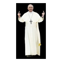 High Resolution Standing Bird Flipping Pope Franci Toddler T-shirt | Artistshot