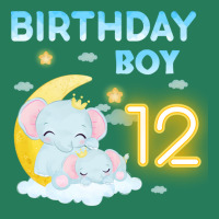 Cute Elephant 12th Birthday Boy Hipster T-shirt | Artistshot