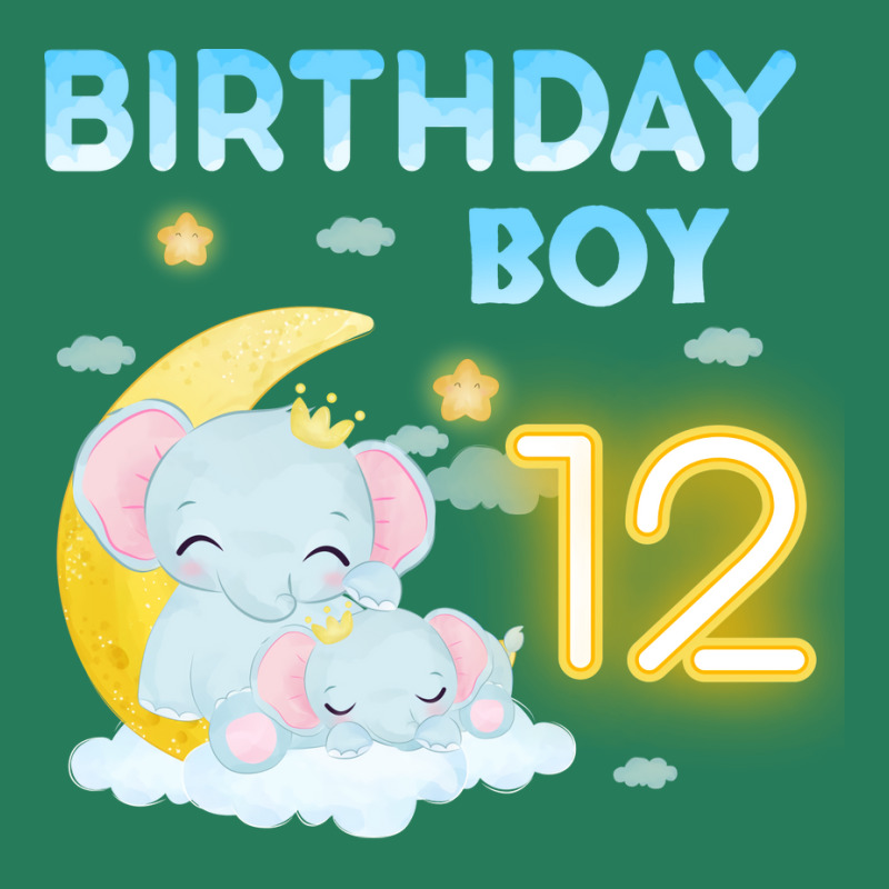 Cute Elephant 12th Birthday Boy Hipster T-shirt | Artistshot