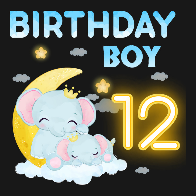 Cute Elephant 12th Birthday Boy Hipster Flannel Shirt | Artistshot