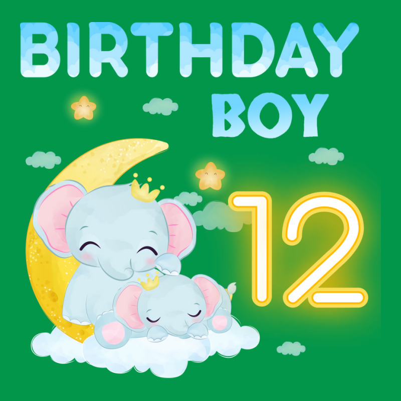 Cute Elephant 12th Birthday Boy Hipster Crewneck Sweatshirt | Artistshot